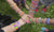 friendship bracelets hands