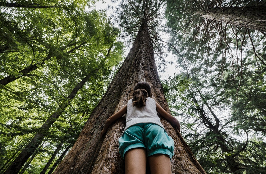 girl hugging a huge tree