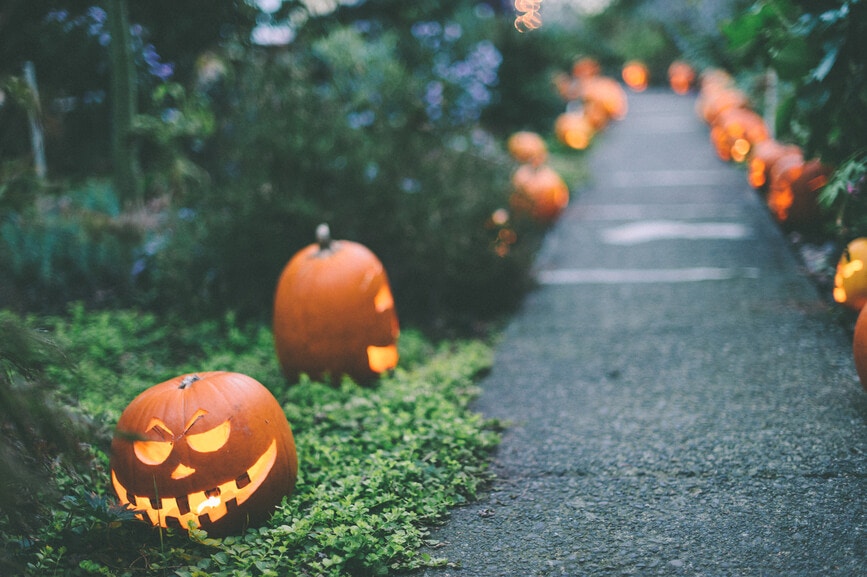 Halloween pumpkin on the road