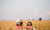 two beautiful womens covering face with watermelon in wheat field