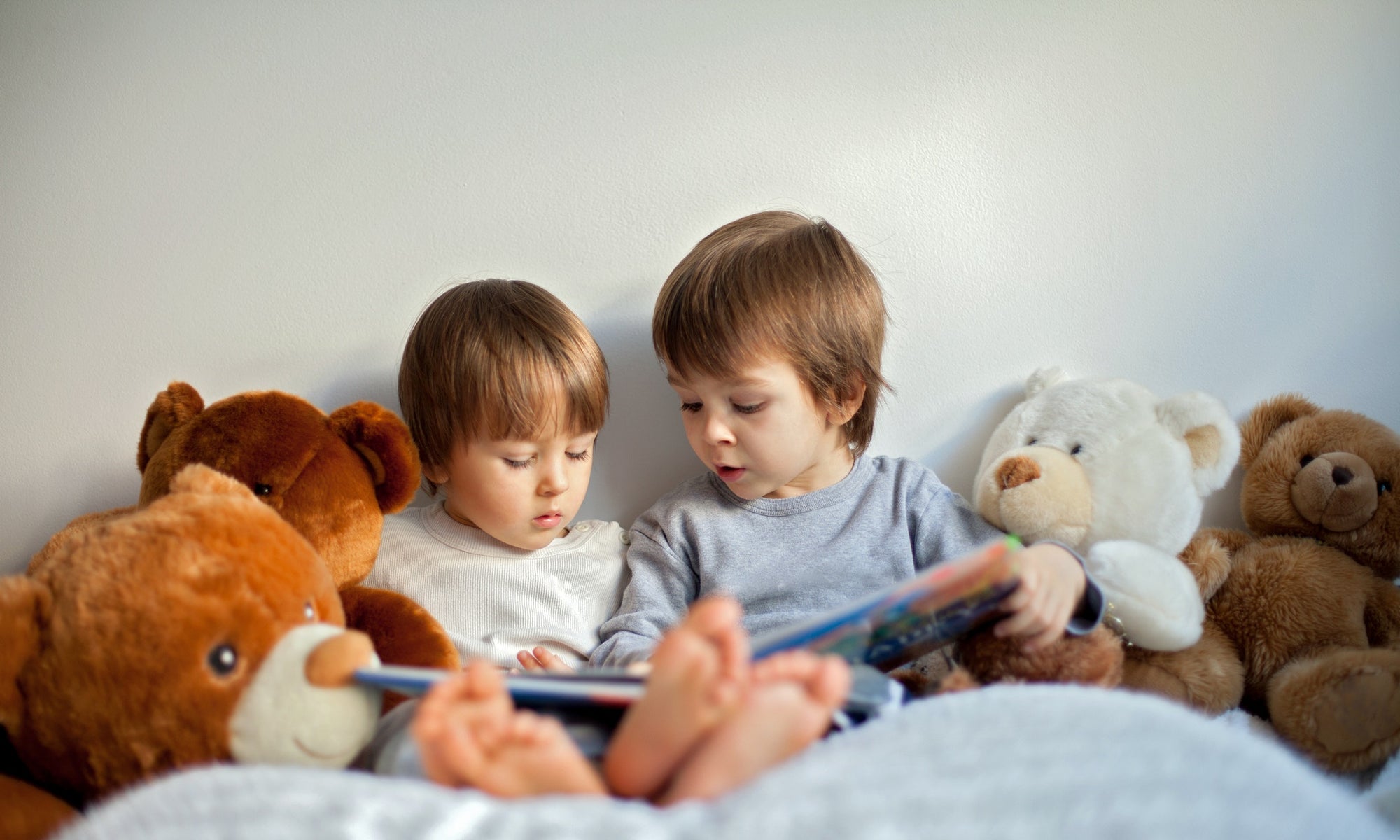 Two boys with teddy bears around, reading a book,