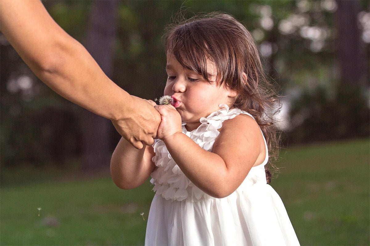 little girl blowing dandelion