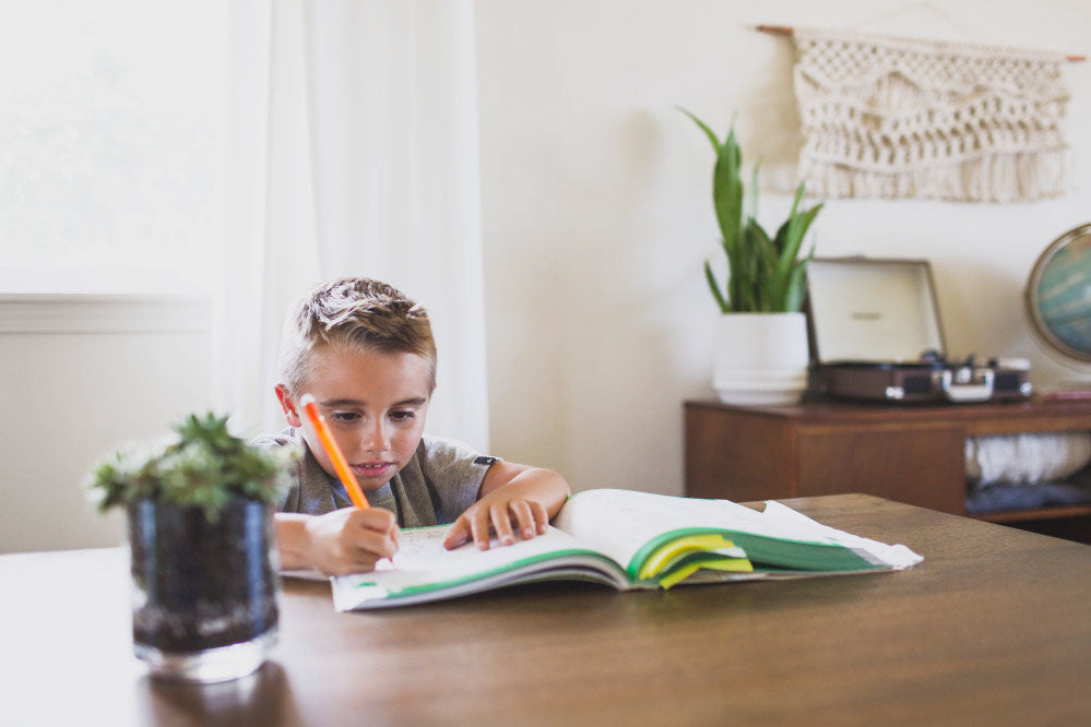 A boy is writing something on a notebook