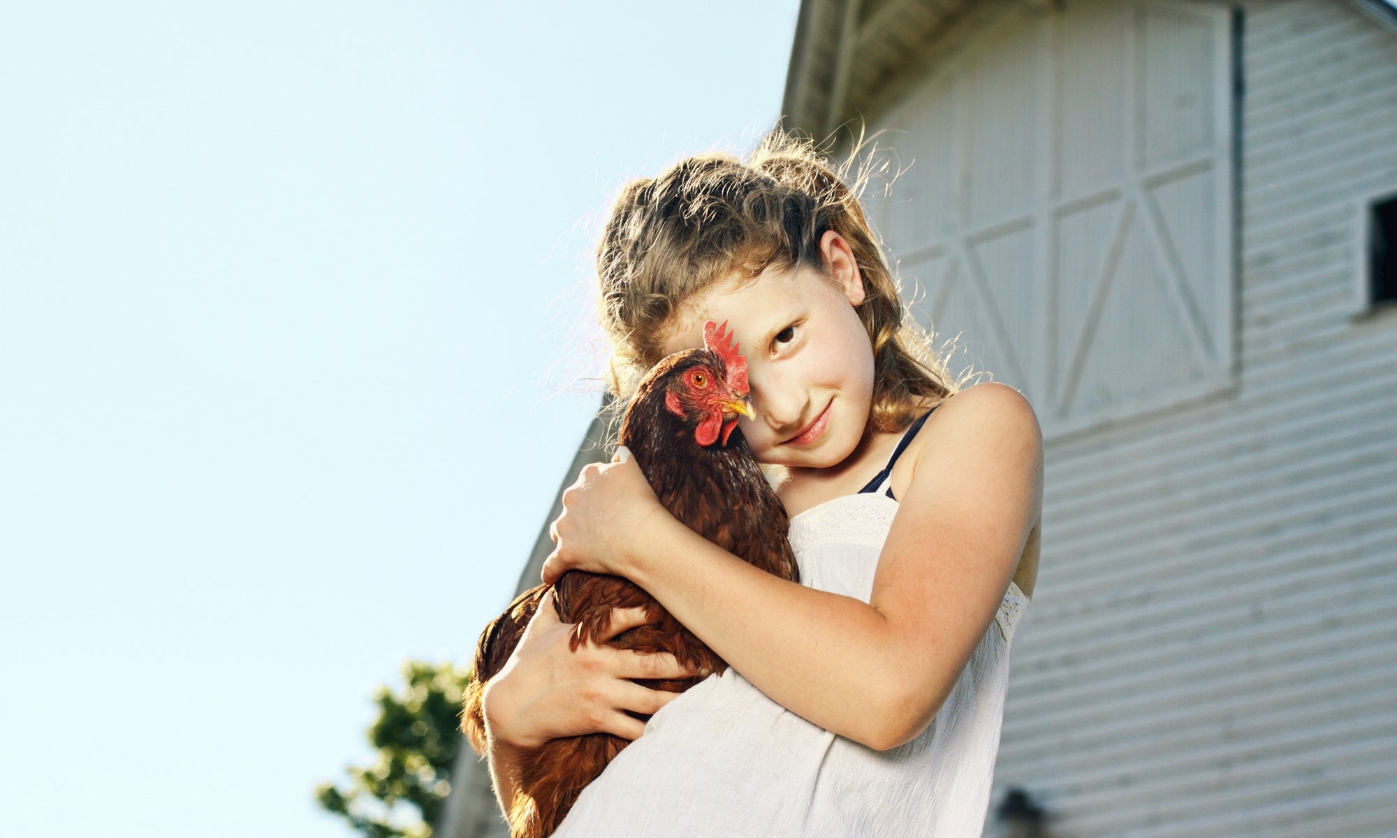 little girl holding ahen