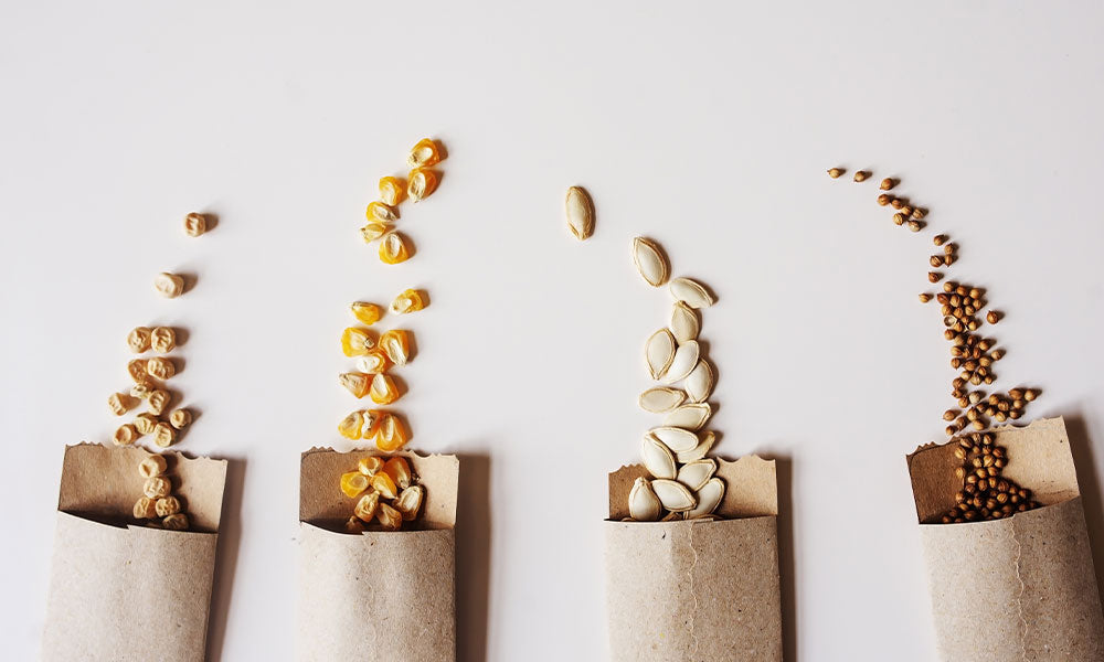 seeds